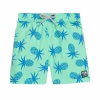 Read Tom & Teddy AUS & NZ Reviews